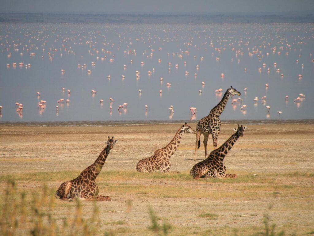 ngorongoro1