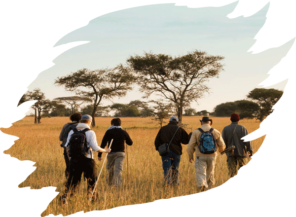 tanzania