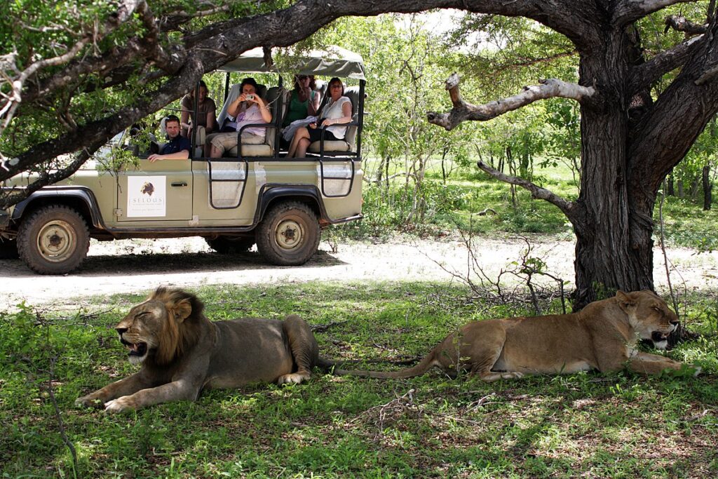 Tanzania Safari Guide
