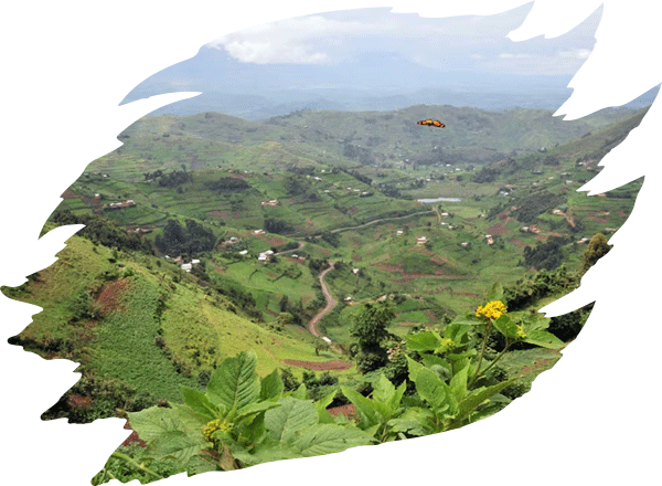 uganda