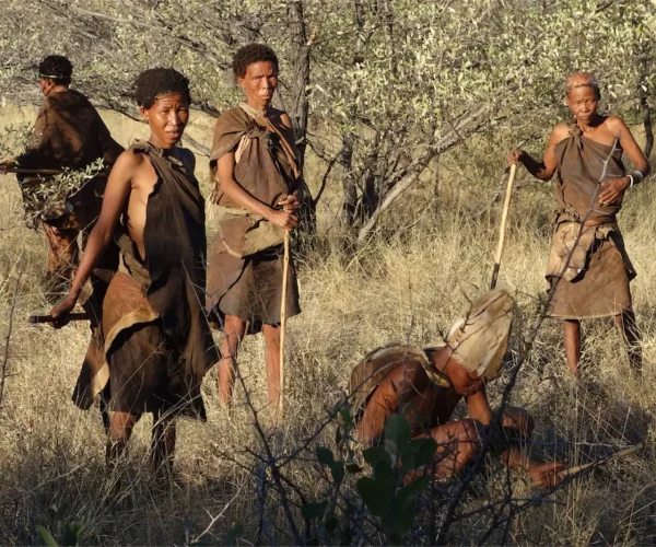 21-Amazing-Things-to-Do-in-Botswana