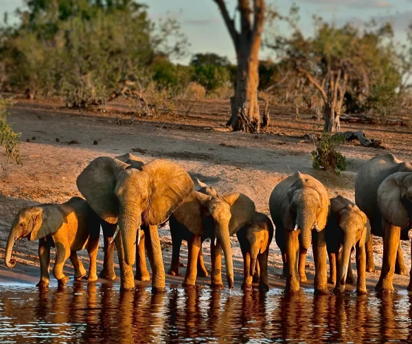 21-Amazing-Things-to-Do-in-Botswana3