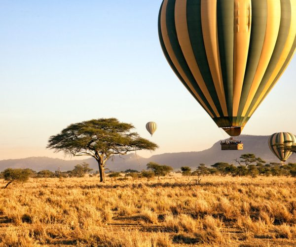 Balloon-Safari1