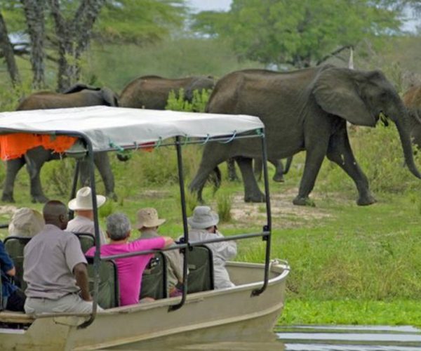 Boat-Safari-In-Nyerere-National-Park1