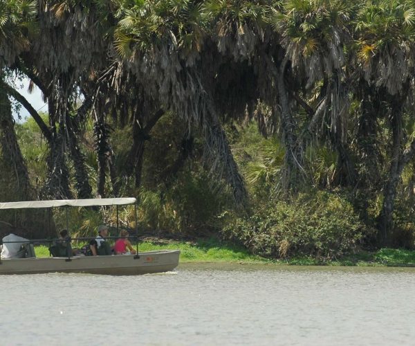 Boat-Safari-In-Nyerere-National-Park4