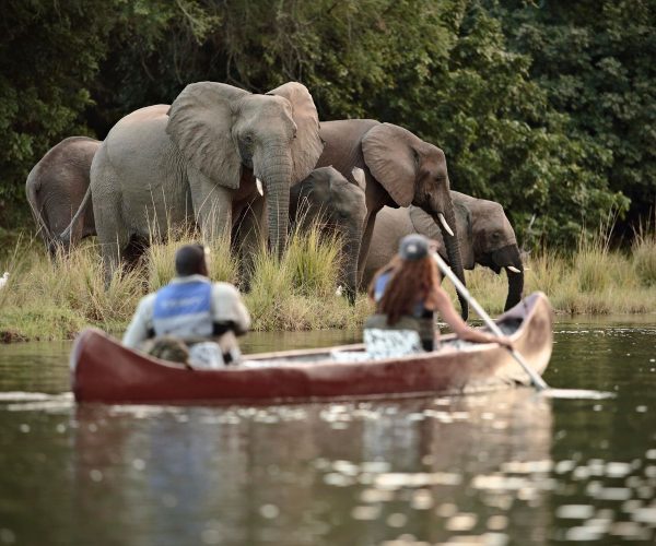Canoe-Safari-In-Tanzania4