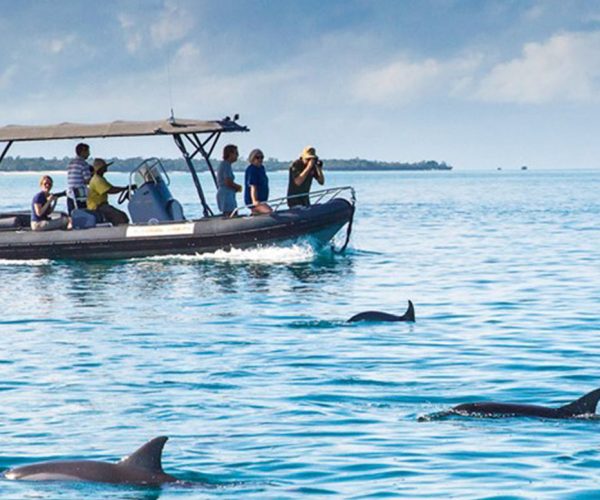 Dolphin-and-Jozani-Forest-Tour1