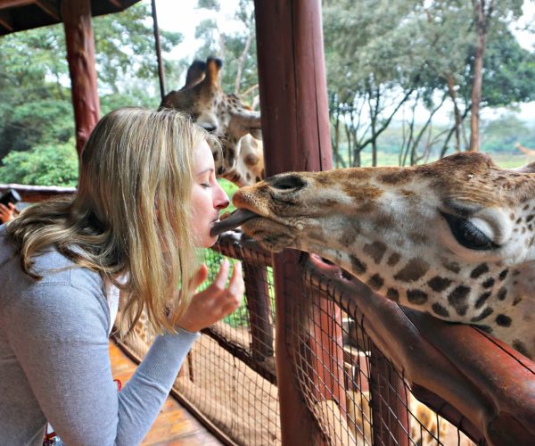 Giraffe-Centre-and-David-Sheldrick-Elephant-Orphanage-Tour4
