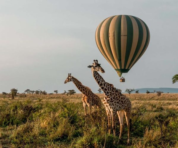 Hot-Air-Balloon-Safari1
