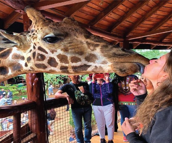 Karen-Blixen-Museum-and-Giraffe-Center-Tour-–-half-Day2
