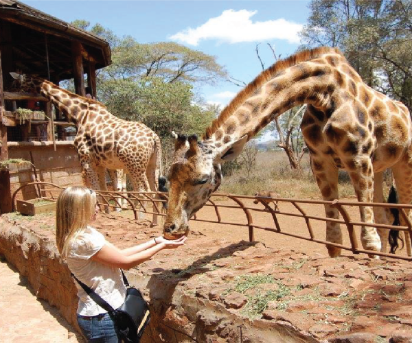 Karen-Blixen-Museum-and-Giraffe-Center-Tour-–-half-Day3