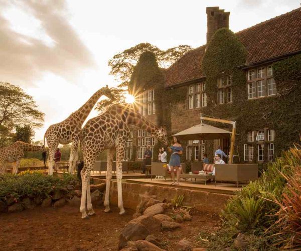 Karen-Blixen-Museum-and-Giraffe-Center-Tour-–-half-Day4