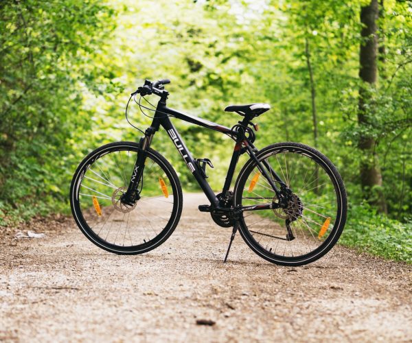 Karura-Forest-Tour-Experience-Trail-Biking-Included4