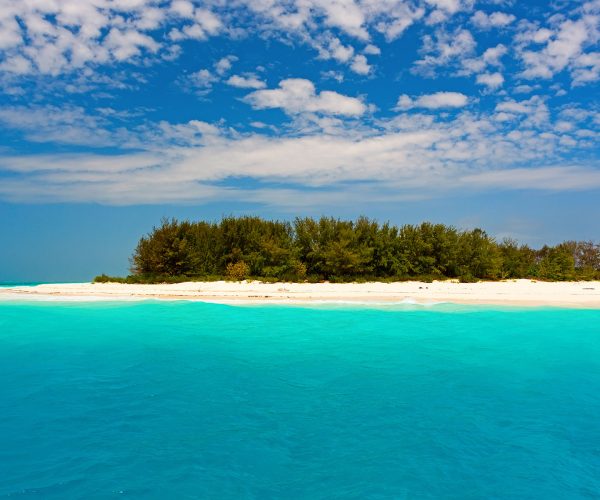 Mnemba-Atoll-Tours