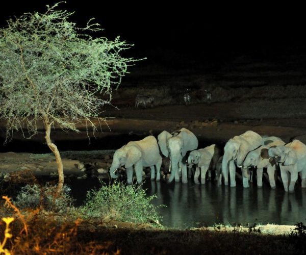 Night-Game-Safari2