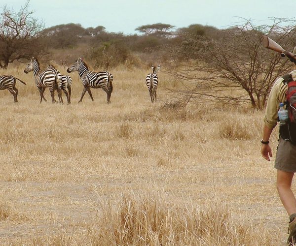 Walking-Safari1