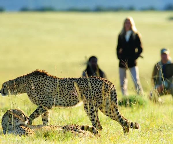 Walking-Safari2