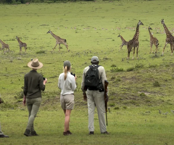 Walking-Safari4
