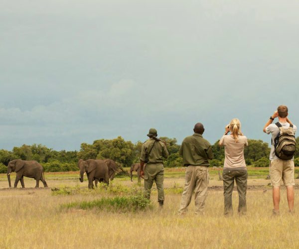 Walking-Safari5