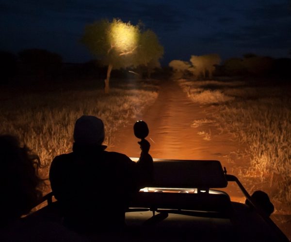 night-game-safari3-1
