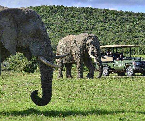 south-africa5